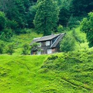 Meet your Posher, Quiana